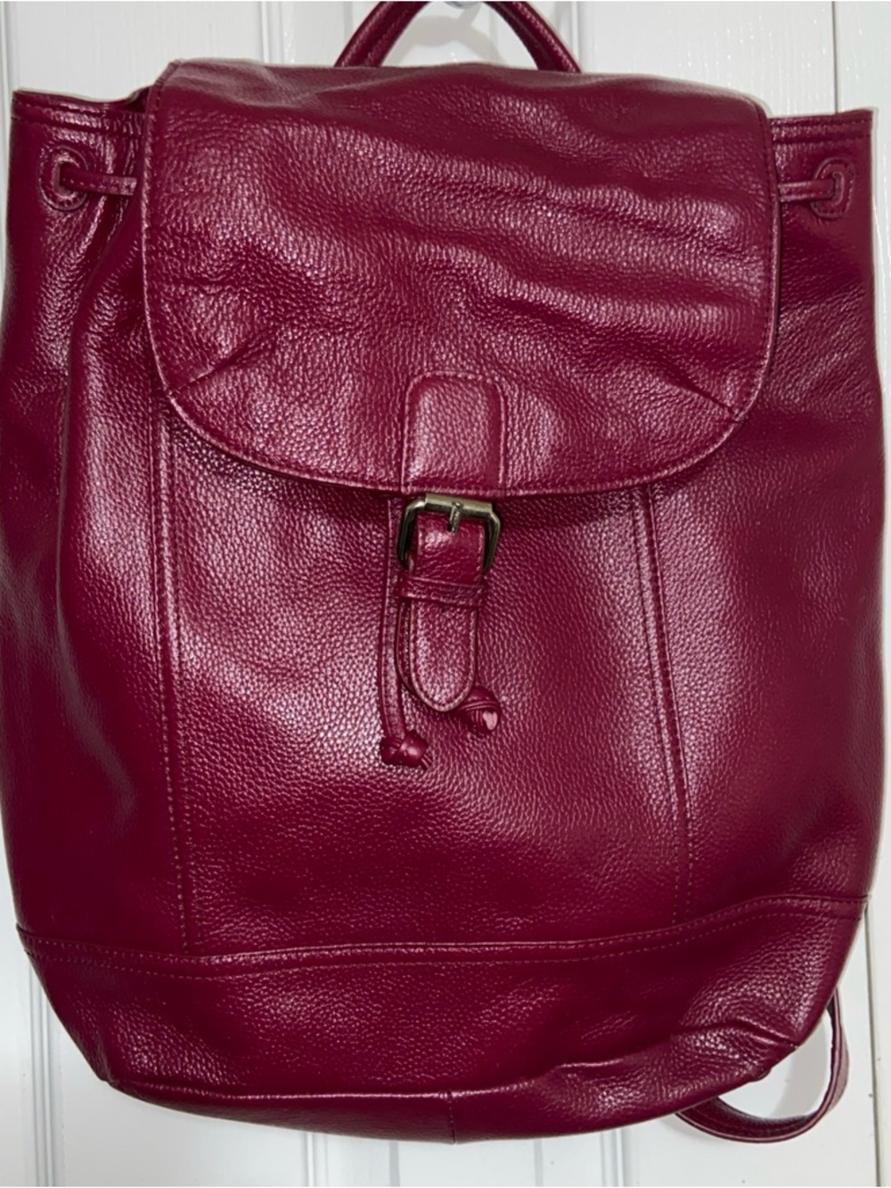 Zenith Leather Backpack in Berry